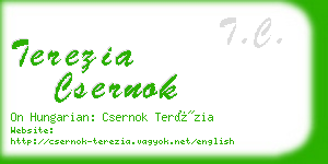 terezia csernok business card